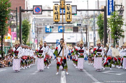 華純連(阿波おどり)